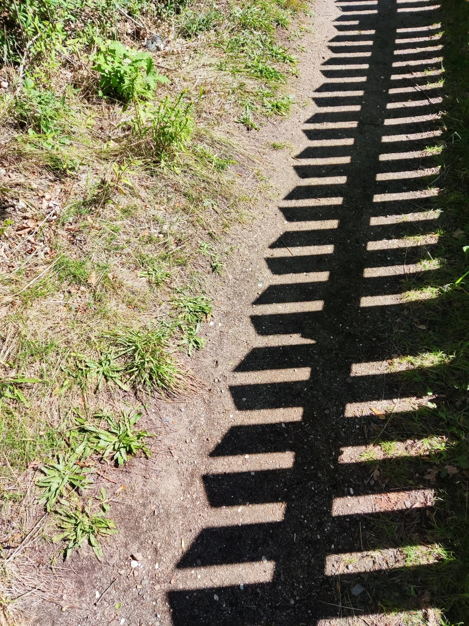 The shadow of a fence on a walking path.